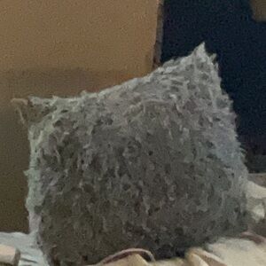 Gray Shaggy Accent Pillow